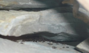 schmidti8.JPG (518.05 KiB) 16684 mal betrachtet Ich schaff es immer noch nicht, da runter zu fotografieren