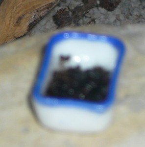 schmidti8 (3).JPG (211.96 KiB) 16684 mal betrachtet Der Fotoapparat findet einen Napf voller ertrunkener Ameisen so grausam, dass er ums Verrecken nicht darauf scharfstellen will :P