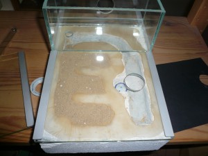 flavus8 (3).JPG (1.67 MiB) 16684 mal betrachtet Nur links ist Nest, rechts soll kein Sand-Lehm sein