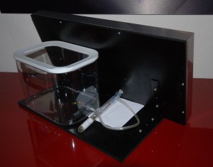 DSC_0221.JPG