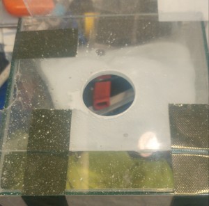 20180314_181944_HDR-1.jpg