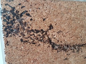 Nestvornedetail