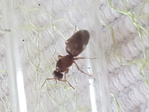 20180407_134351.jpg