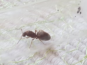 20180407_134459.jpg
