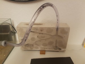 20180419_202437.jpg