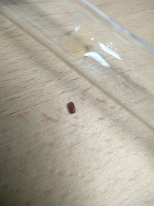 IMG_20180422_135451.jpg