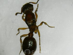 180424_195459.jpg
