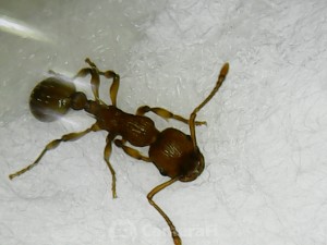 180424_194841.jpg