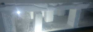 20180427_065550_HDR-1.jpg