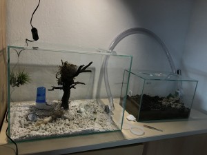 IMG_0384.JPG