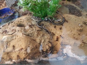 20180420_144759.jpg