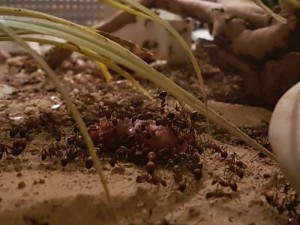 20180420_175438.jpg