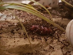 20180420_184417.jpg