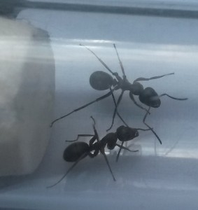 20180511_164106.jpg