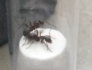 20180511_165451.jpg