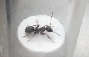 20180511_165501.jpg