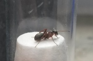 20180511_165554.jpg