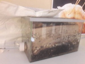 20180513_133515.jpeg