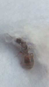 20180522_174428_HDR (2).jpg