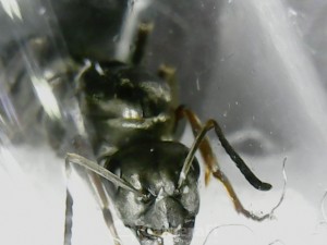 180522_191857.jpg