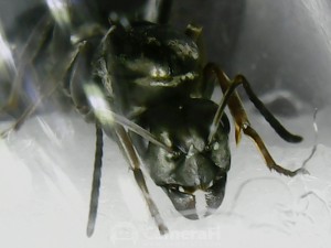 180522_191842.jpg