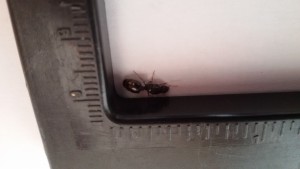 20180529_154121.jpg