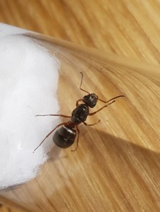 20180530_171346.jpg