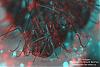 C-C-3D-4-rot-cyan-(640)+C.jpg