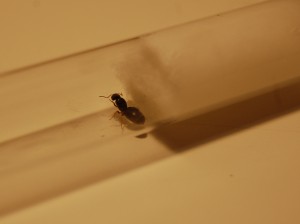 002.JPG (380.96 KiB) 3383 mal betrachtet 002.JPG