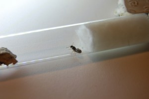 003.JPG (1.46 MiB) 3377 mal betrachtet 003.JPG