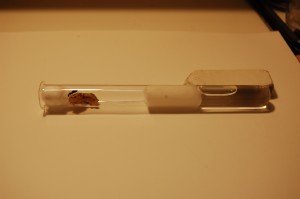 DSC_6649.JPG