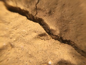 1:1 Sand/Lehm
