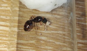 IMG_20180608_162458.jpg