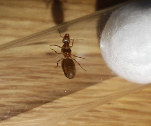 20180611_142816.jpg