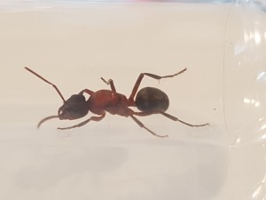 20180615_173741.jpg