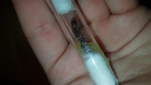 20180517_215618.jpg