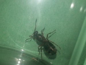 20180630_194045.jpg