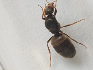 20180703_153044.jpg