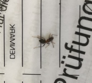 CA13CFB8-E30A-4940-9A53-A818F75D7AB7.jpeg (330.76 KiB) 612 mal betrachtet CA13CFB8-E30A-4940-9A53-A818F75D7AB7.jpeg