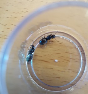 20180703_163534.jpg