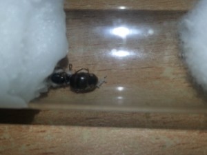 20180705_095959.jpg