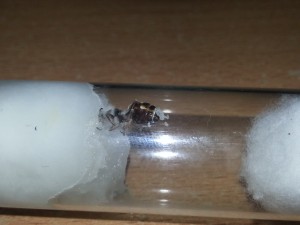 20180705_100043.jpg