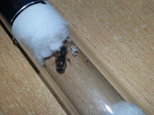 20180705_095428.jpg