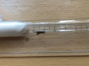 IMG-20180705-WA0002.jpg