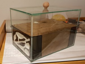 20180708_214302 2.jpg