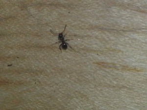 20180707_140020.jpg
