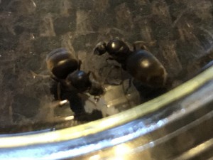 IMG_1430.jpg