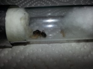 20180714_111047.jpg