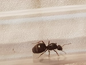 20180716_005326.jpg