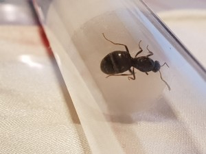 20180716_005745.jpg